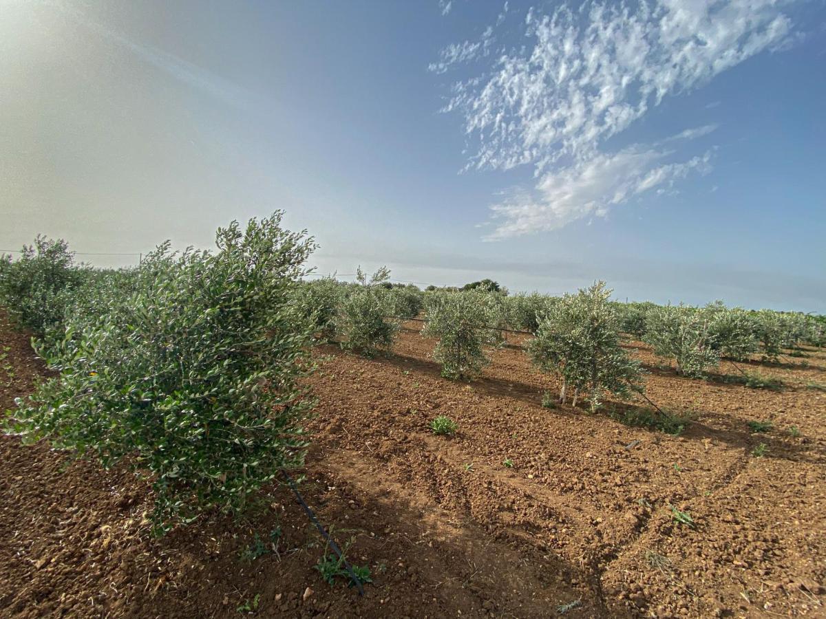 Podere Carafa Nardò Exterior foto